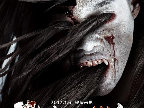 行车证样本照片